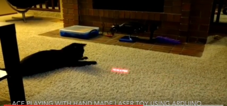 Arduino – Simple cat toys