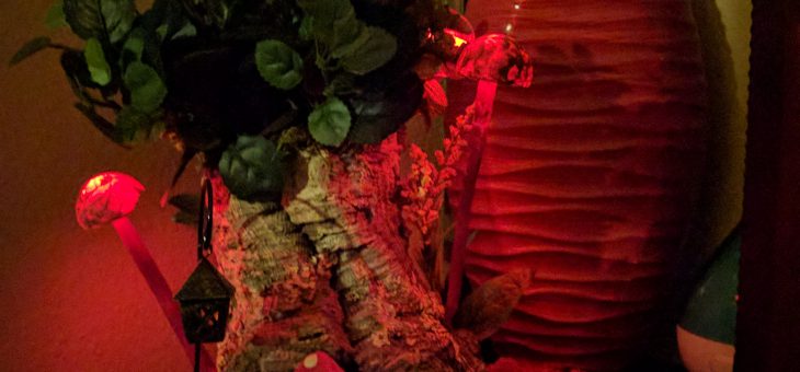 Crafts – Fairy Garden