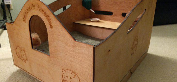 DIY Hamster Sandbox